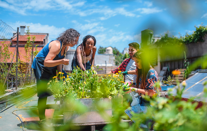 How Credit Unions Invest in Local Communities and Serve as Embedded Intermediaries