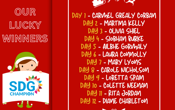 12 Days of Christmas Winners